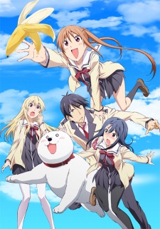 Aho girl