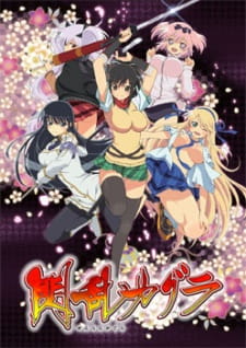 Senran Kagura: Ninja Flash (Dub)